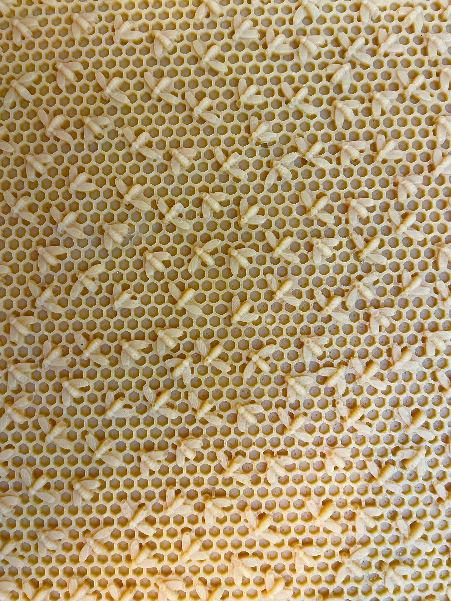 LARGE SILICONE HONEY BEE IMPRESSION MAT/ GRAND TAPIS D'IMPRESSION D'ABEILLE EN SILICONE