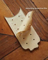 NOUVEAU Ensemble de crâne 2 (acrylique) pour moules Winston & Walter de 2,5 po x 4,5 po