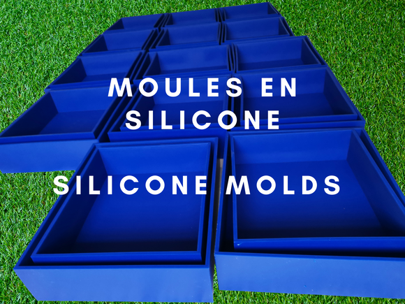 Silicone Molds Only * Moule silicone seulement