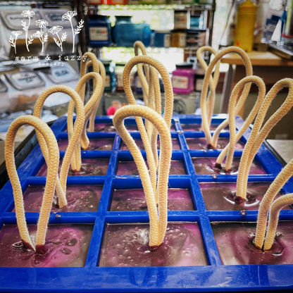 Moule en silicone 15 cavités avec couvercle-Moules en silicone à 15 cavités avec couvercle 